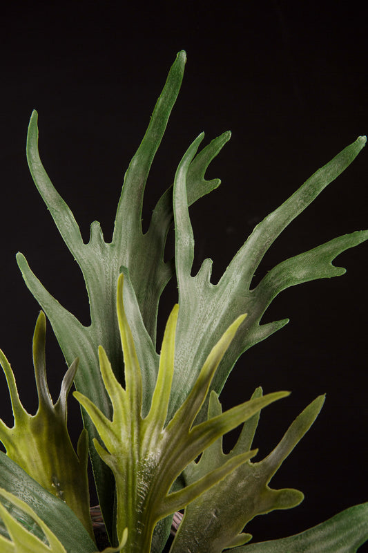 Cuerno de Alce artificial