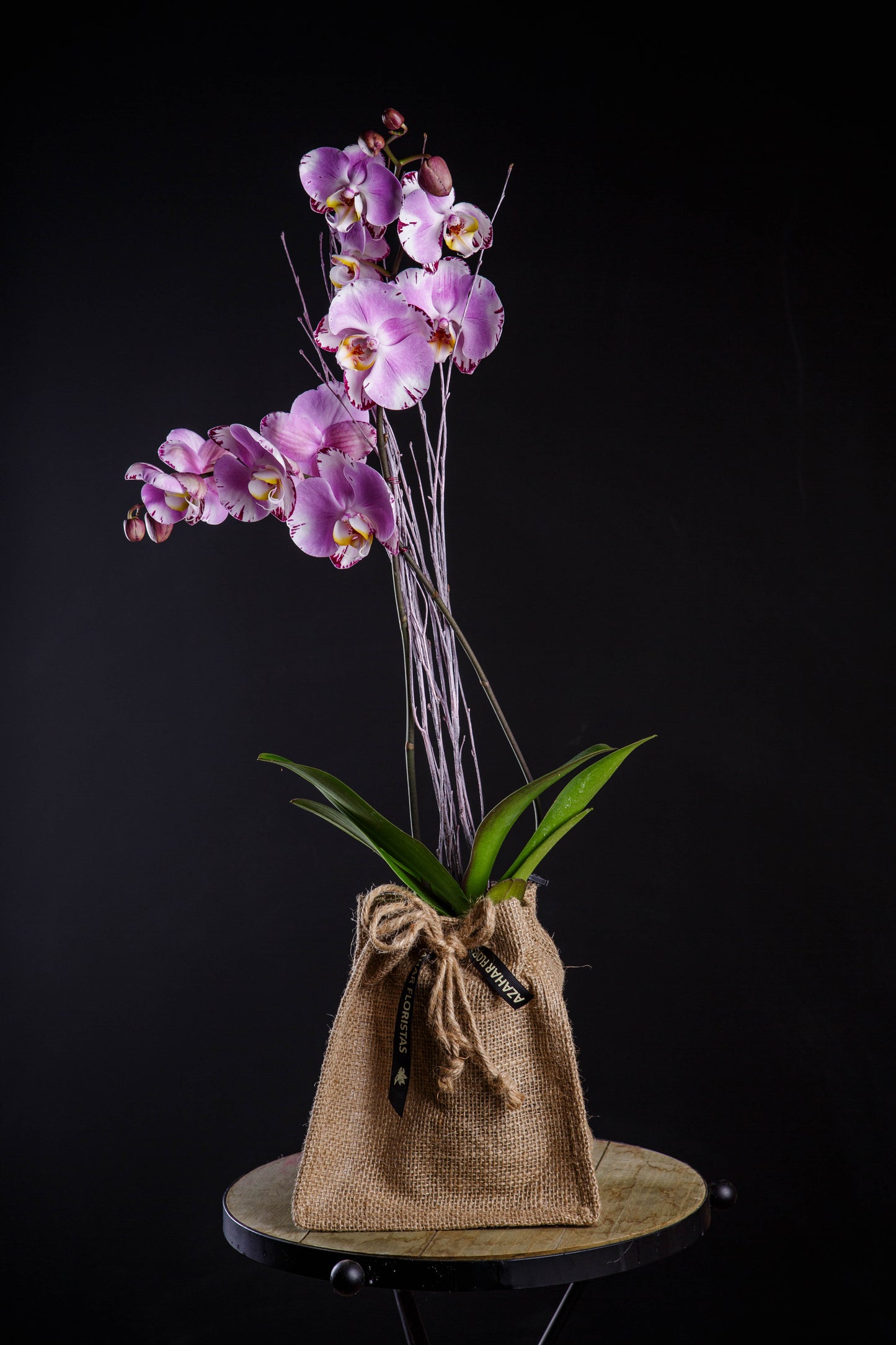 Orquídea natural