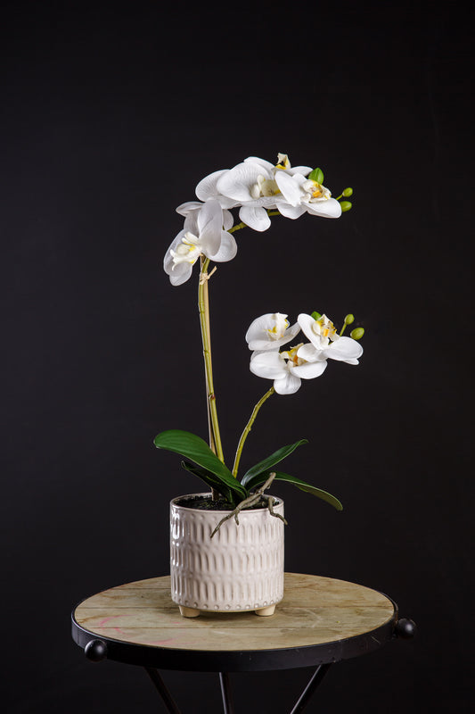 Orquídea artificial