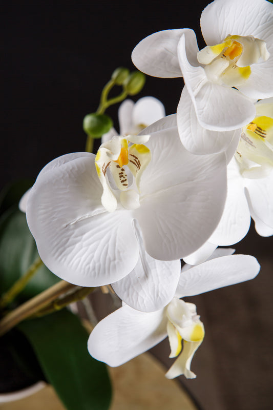 Orquídea artificial