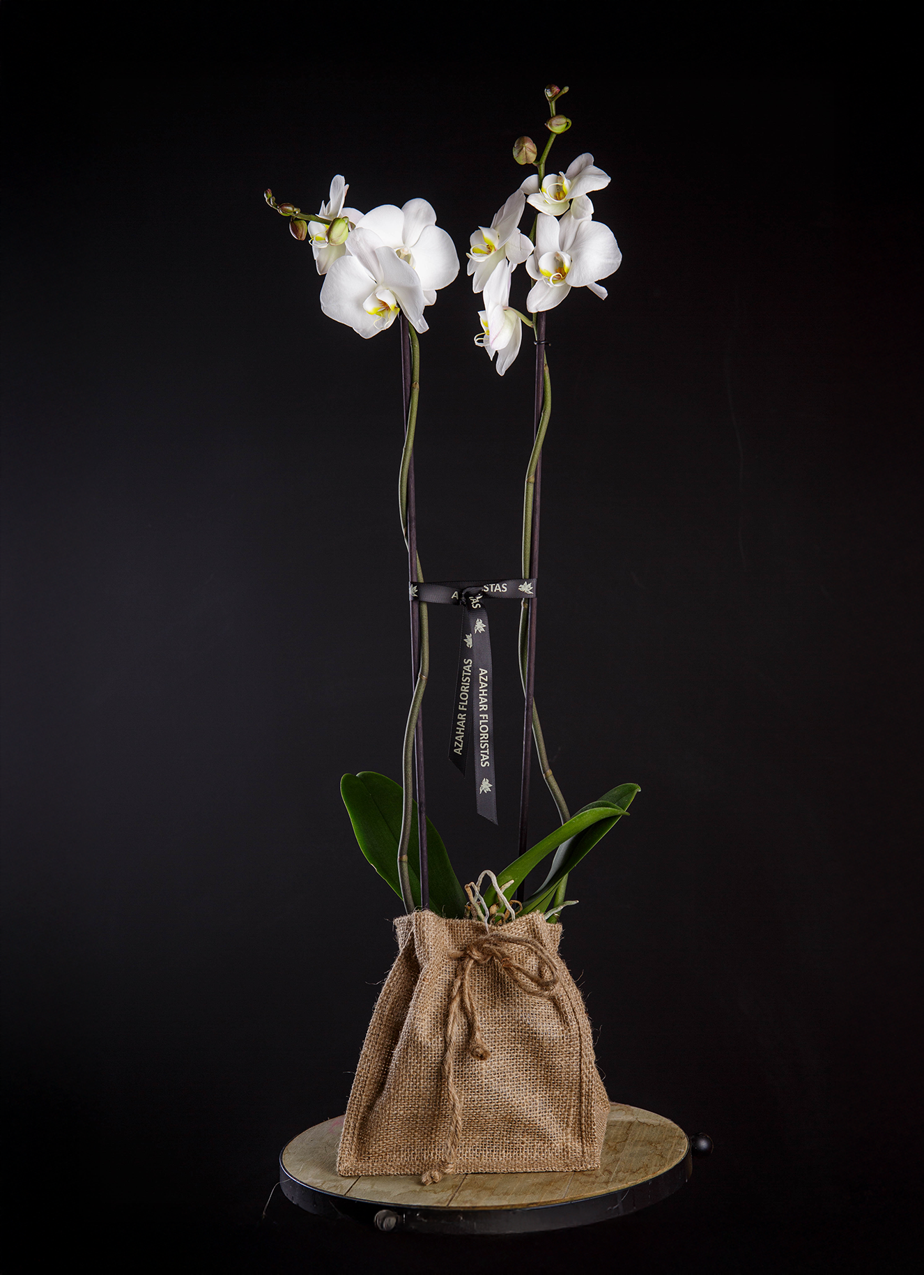 Orquídea natural