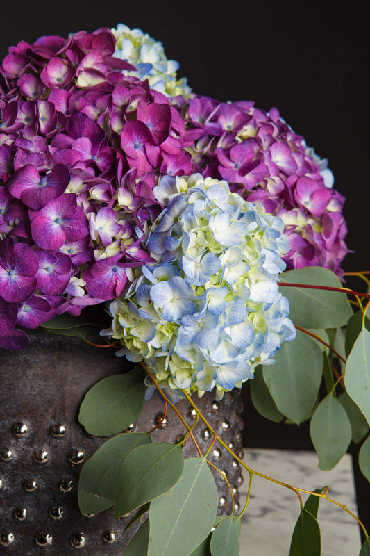 Jarrón de Hortensias