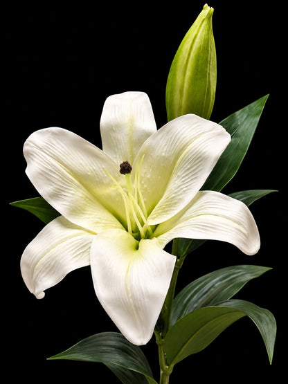 Flor de lilium oriental artificial blanco con hojas verdes sobre fondo negro